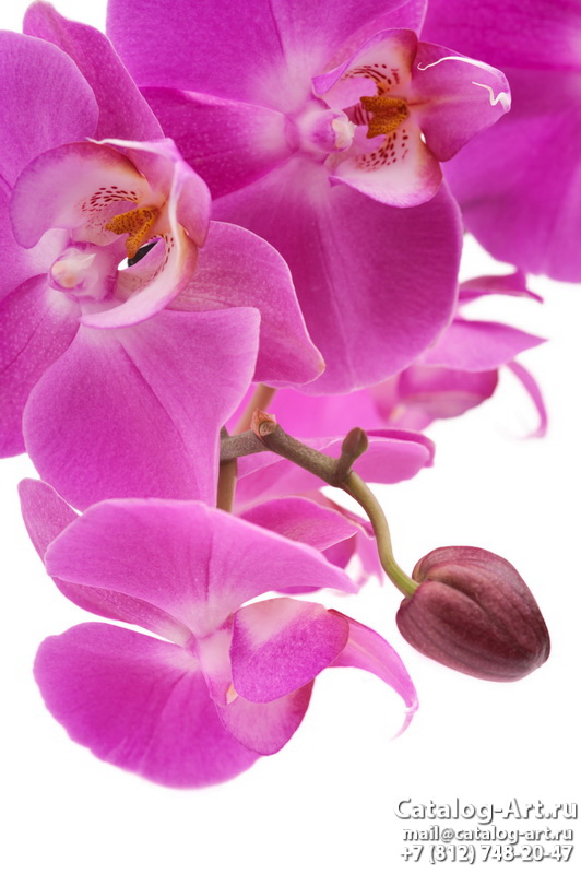 Натяжные потолки с фотопечатью - Розовые орхидеи 61